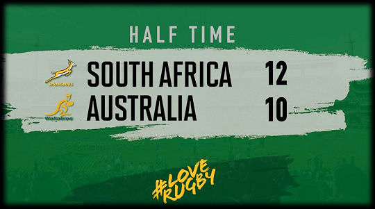 Springboks v Wallabies